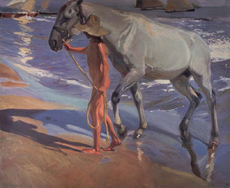 Joaquin Sorolla Y Bastida The bathing of the horse oil painting image